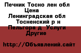 Печник Тосно лен.обл › Цена ­ 40 - Ленинградская обл., Тосненский р-н, Пельгора д. Услуги » Другие   